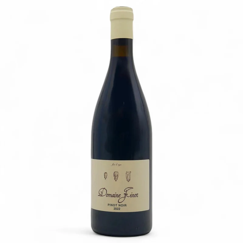 Pinot noir 2023