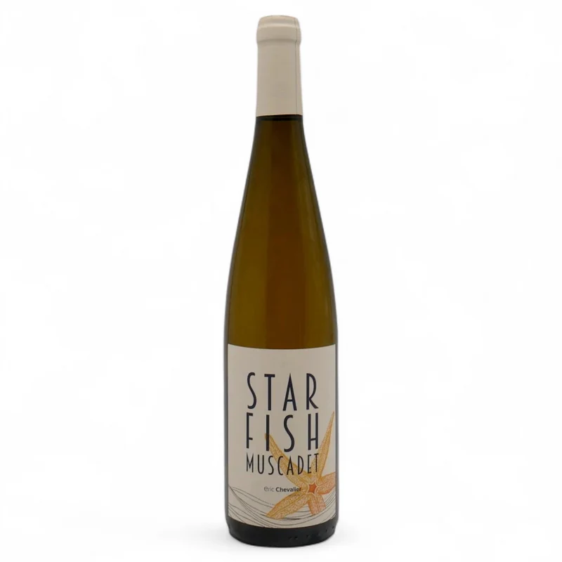 Star fish 2025
