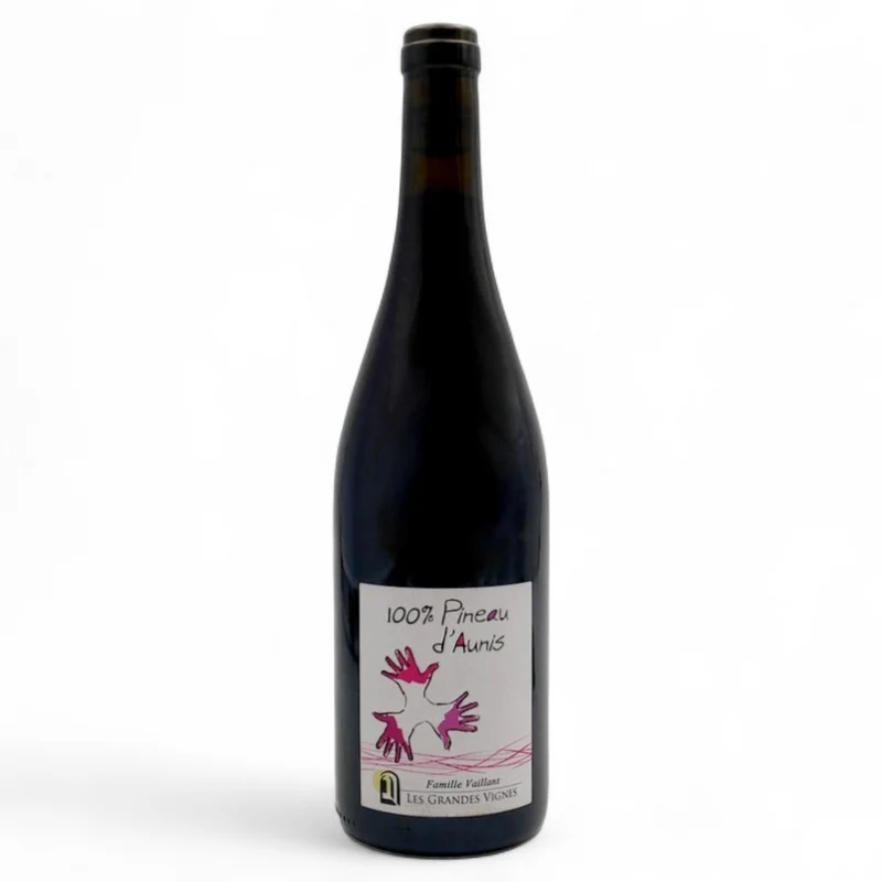 100% Pineau d'Aunis 2024