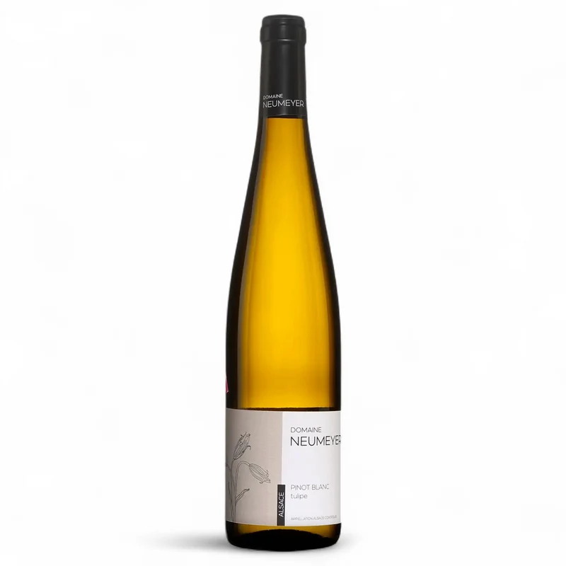 Pinot blanc Tulipe 2023