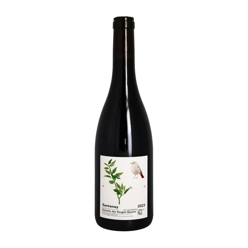 Santenay rouge 2023 | Domaine Rouges-Queues