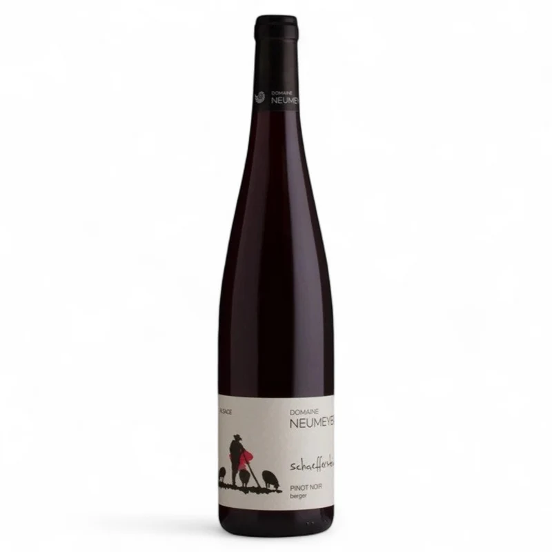 Pinot noir Berger 2023