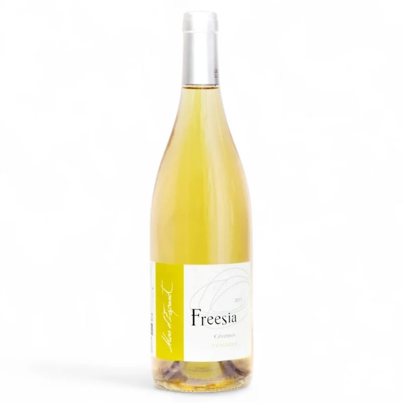 Freesia blanc 2024
