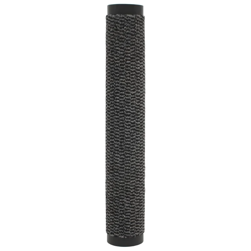 Lot de 2 paillassons rectangulaires 40 x 60 cm Anthracite DEC023153