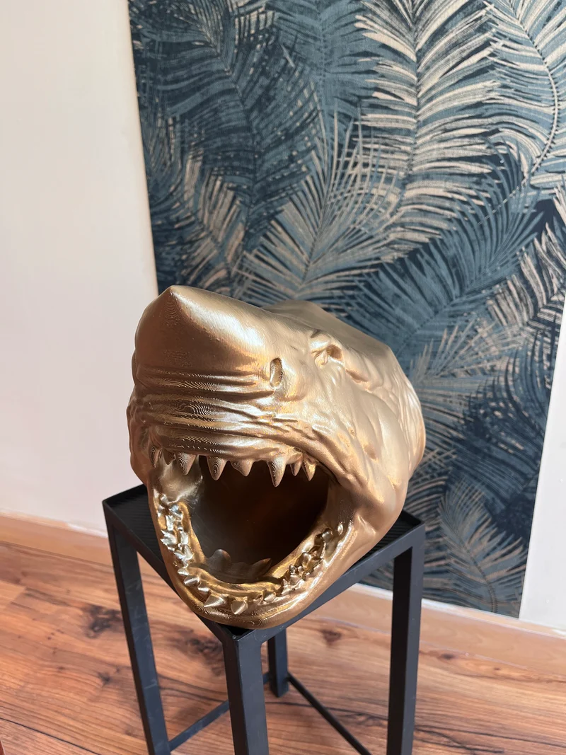 Porte Bouteille Requin 🦈