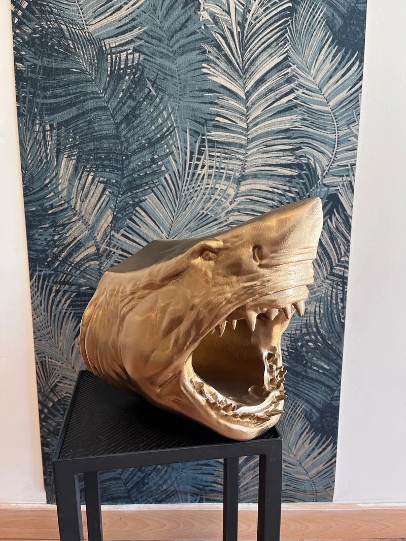 Porte Bouteille Requin 🦈