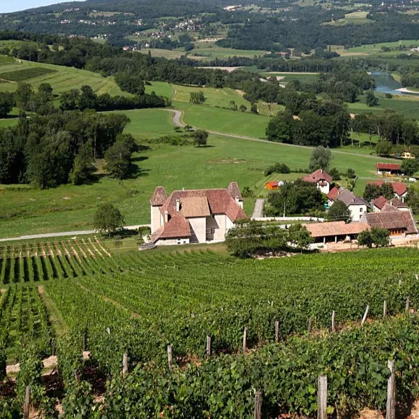Château de La Mar - Mondeuse - 2018