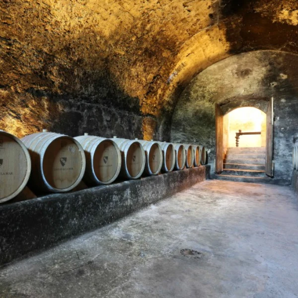 Château de La Mar - Pinot - 2018