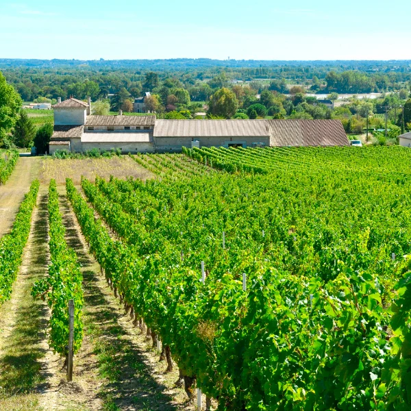 Château Barrabaque Prestige - Canon Fronsac