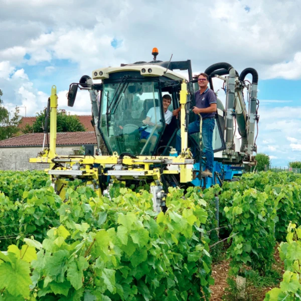 Domaine Gueguen - Petit Chablis 2020