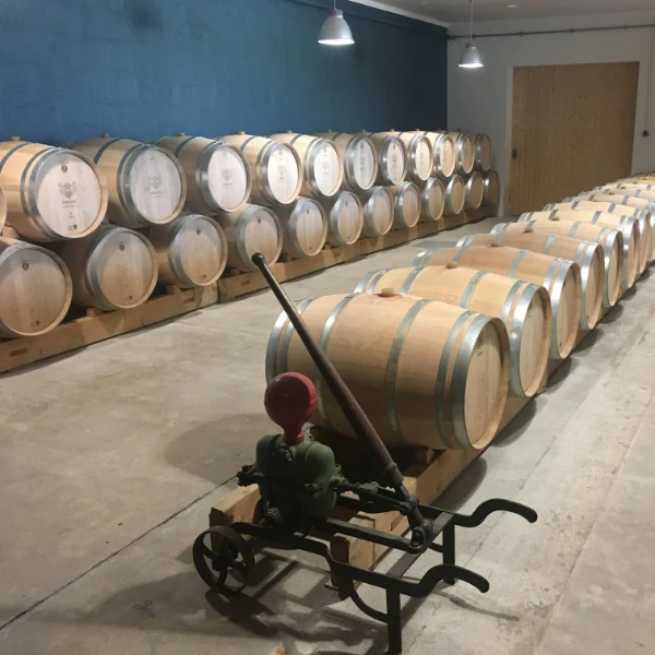 Château Haut Ferrand 2017 - Pomerol