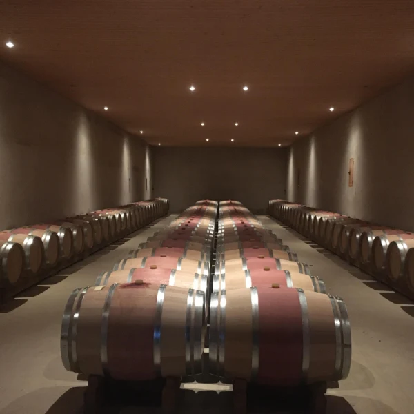 Château Haut Ferrand 2017 - Pomerol
