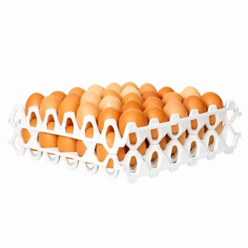 Alvéoles de stockage à œufs 30 œufs – Lot de 6