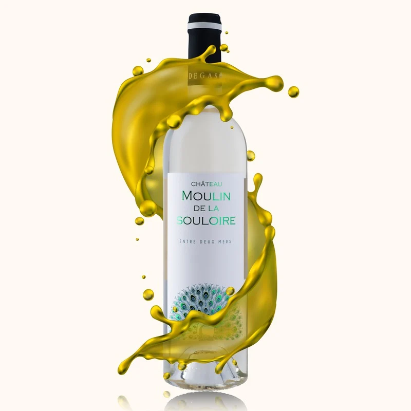 Château Moulin de la Souloire · 2024