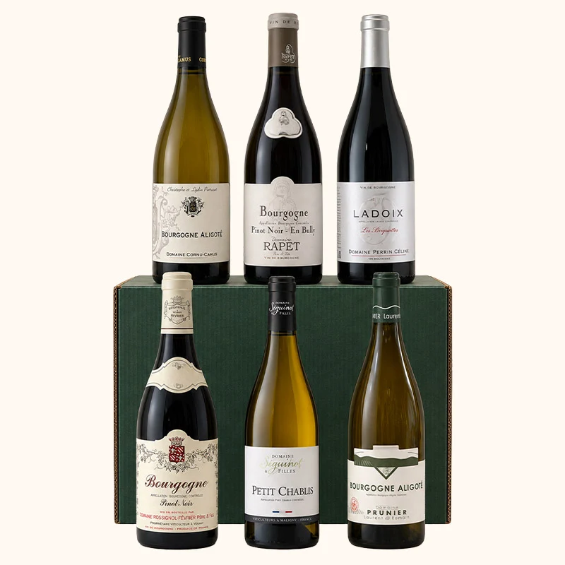 Carton Découverte Bourgogne · 6 bouteilles