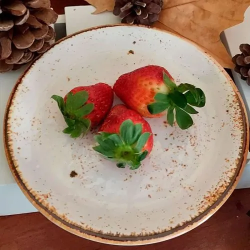 Assiettes plates et creuses en mélamine vintage