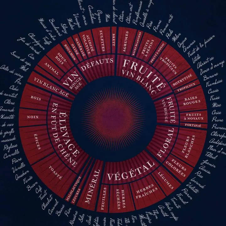 Les Arômes du vin