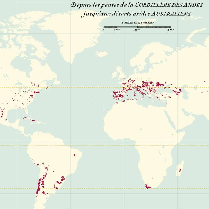 La Carte des Vins du Monde