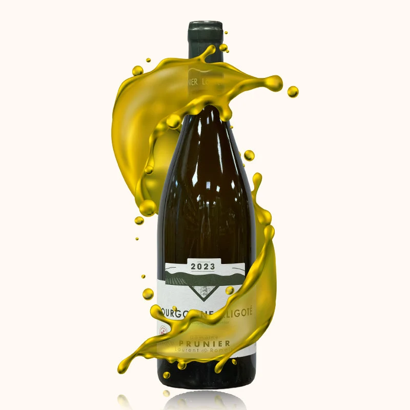 Domaine Prunier Laurent et Romain · 2023
