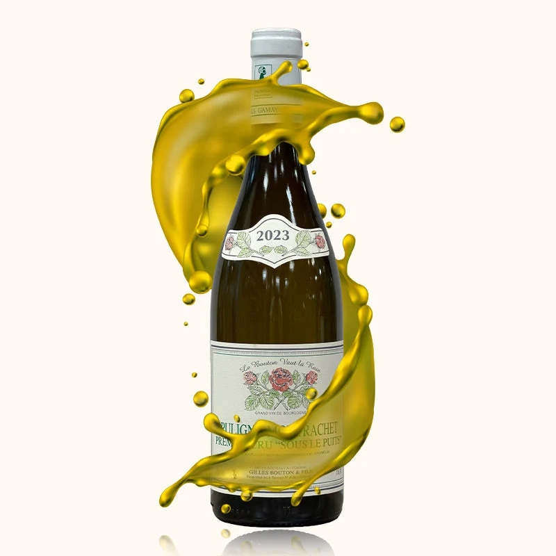 Domaine Gilles Bouton · Sous le puit · 2023