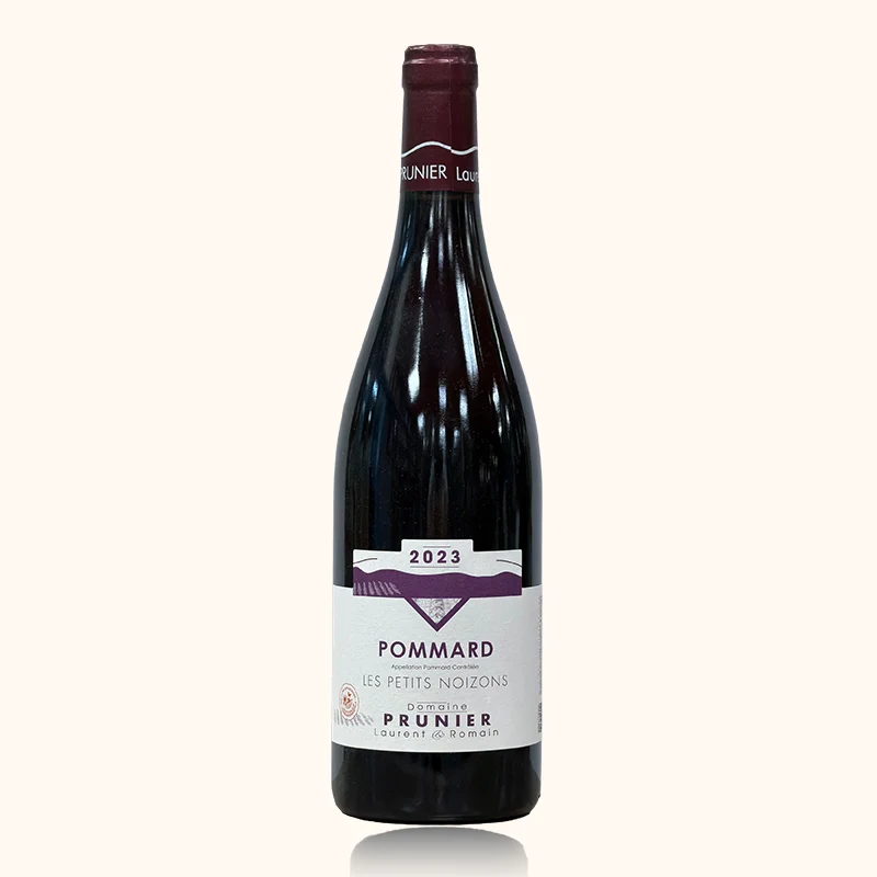 Domaine Prunier Laurent et Romain · Les Petits Noizons · 2022
