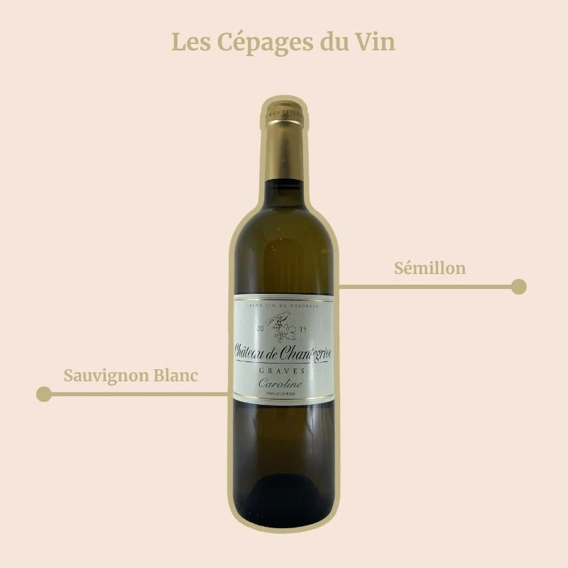 Château de Chantegrive · Caroline · 2015