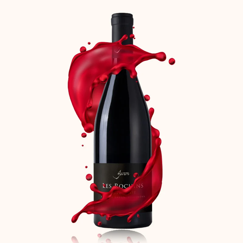 Domaine Garon · Les Rochins · 2021