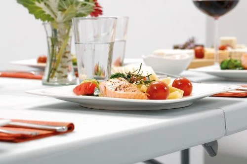 Table pliable professionnelle