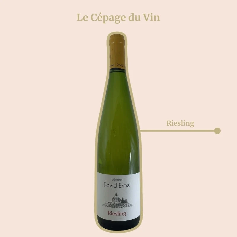 Domaine David Ermel · 2022