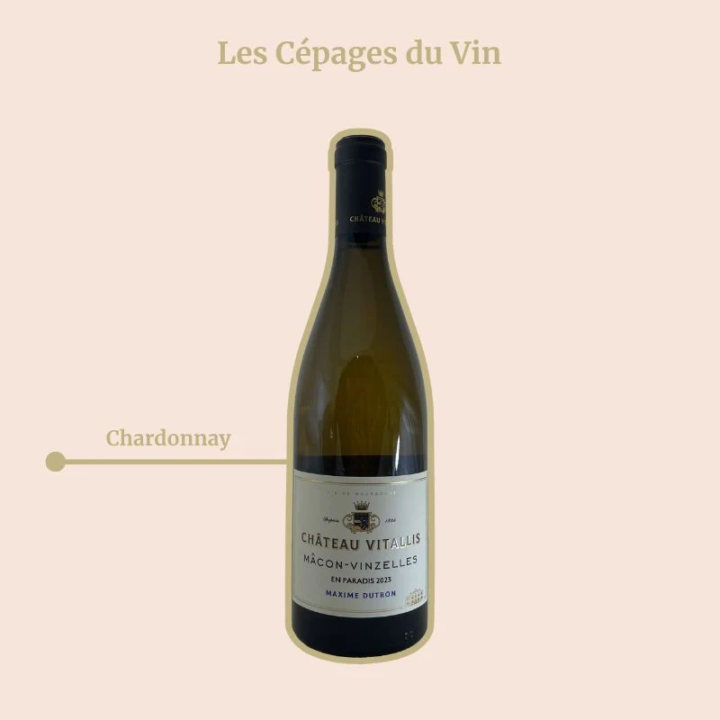Château Vitallis · En Paradis · 2025
