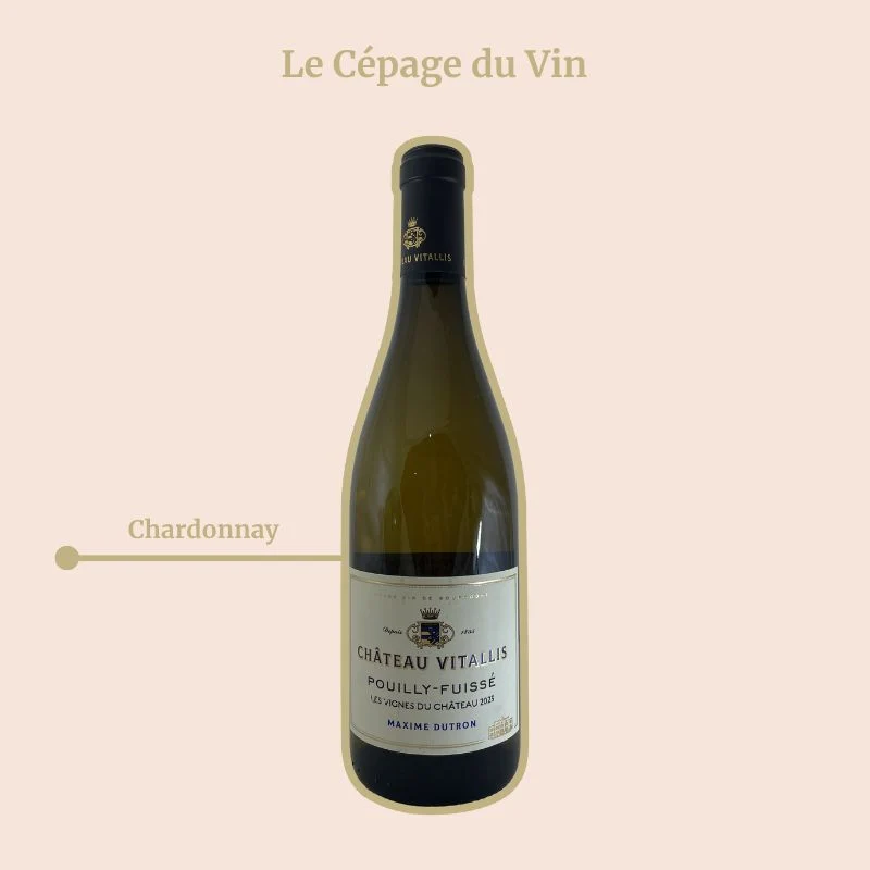Château Vitallis · Les Vignes du Château · 2024