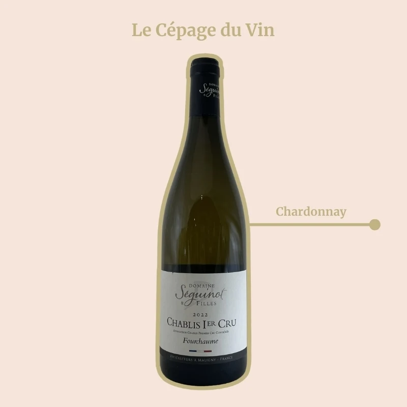 Domaine Séguinot & Filles · Fourchaume · 2024