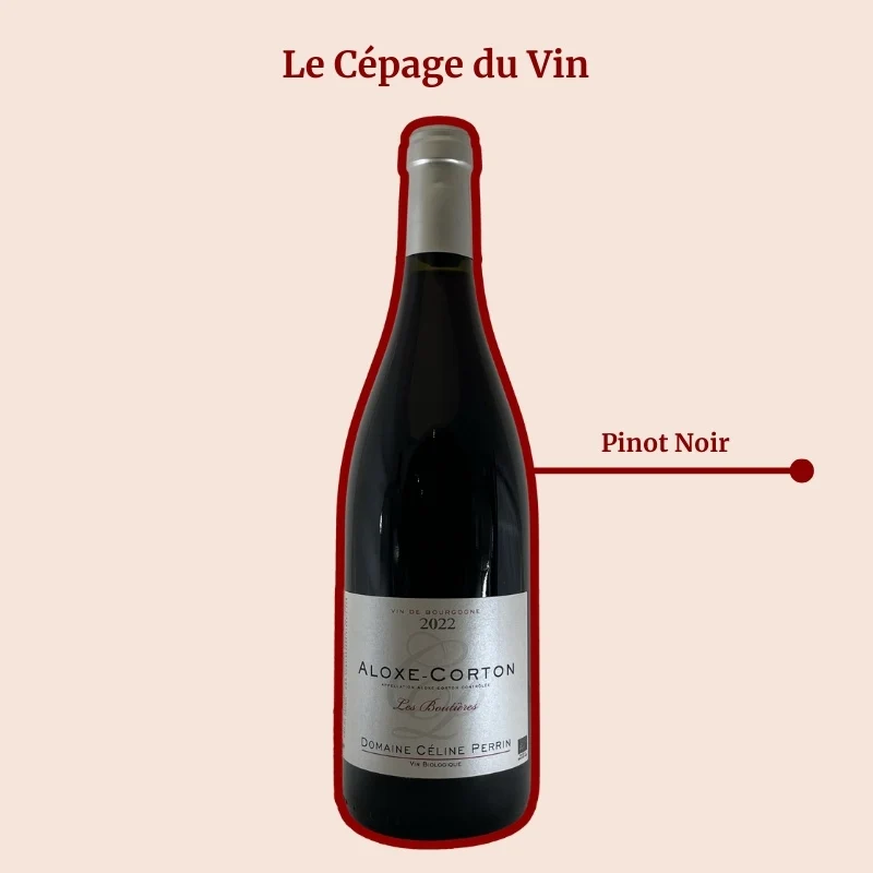 Domaine Perrin Céline · Les Boutières · 2022