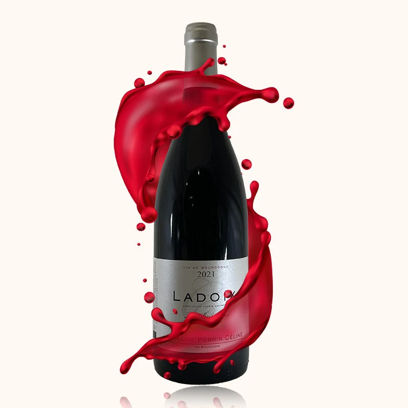 Domaine Perrin Céline · Les Briquottes · 2023