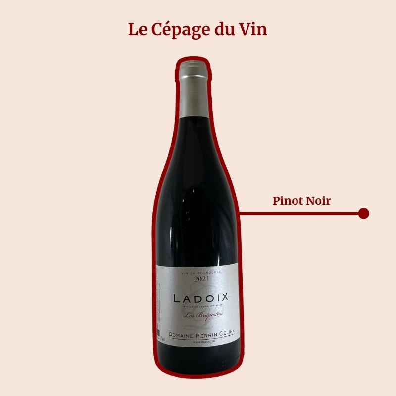 Domaine Perrin Céline · Les Briquottes · 2023