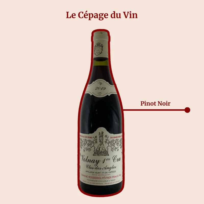 Domaine Rossignol-Février · Clos des Angles · 2023