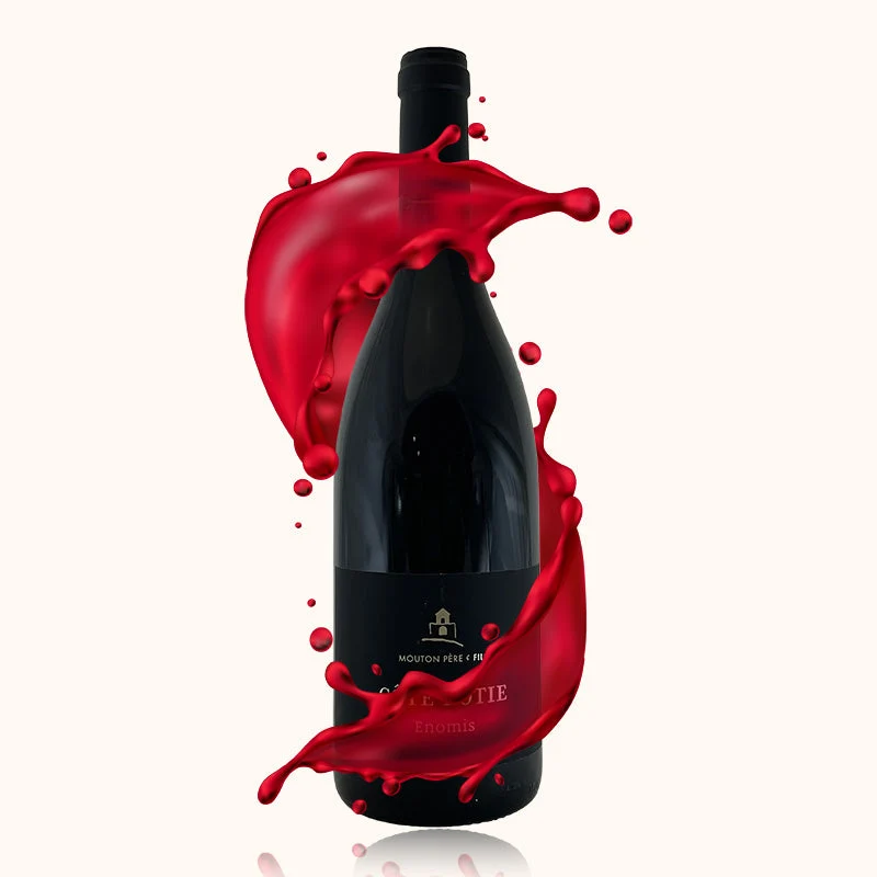 Domaine Mouton · Enomis · 2023
