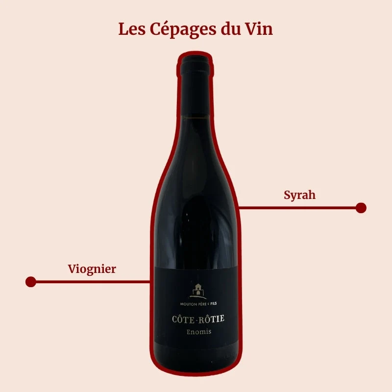 Domaine Mouton · Enomis · 2023