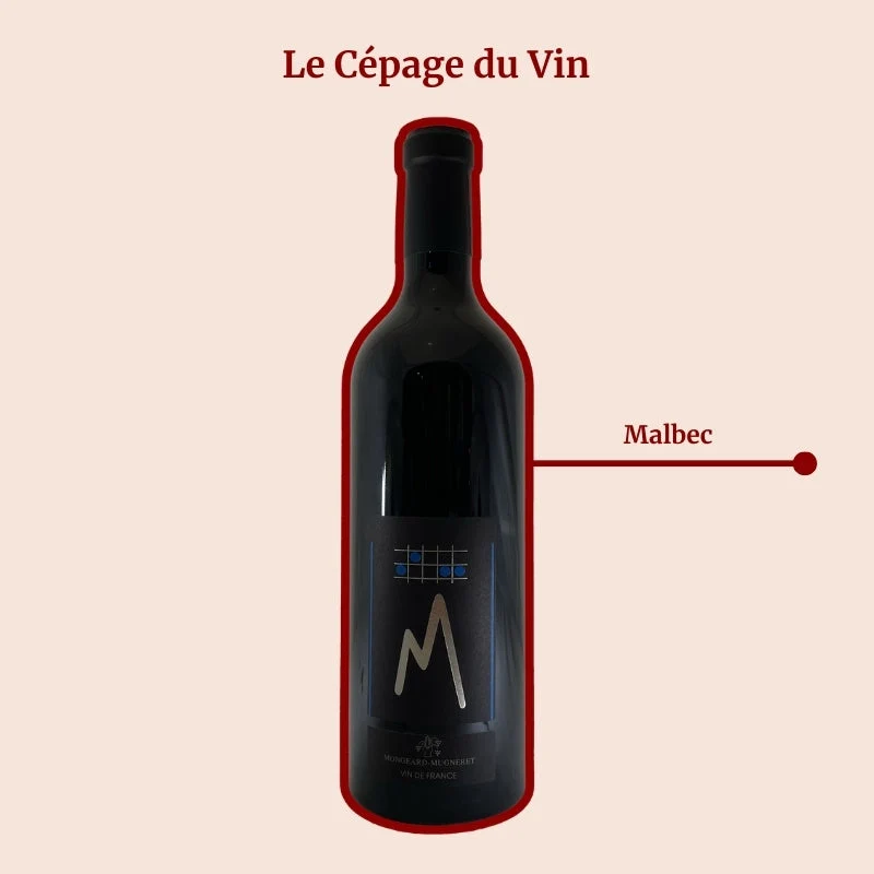 Domaine Mongeard-Mugneret · M
