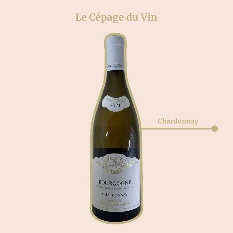Domaine Mongeard-Mugneret · 2021