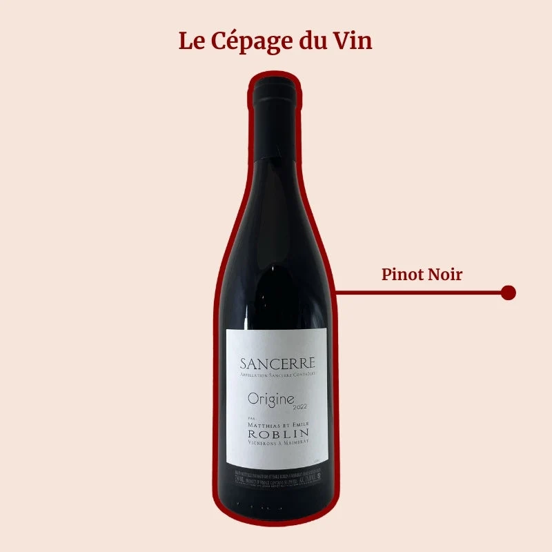 Domaine Matthias et Emile Roblin · Origine · 2022