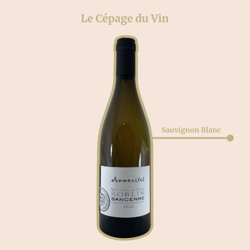Domaine Matthias et Emile Roblin · Ammonites · 2022