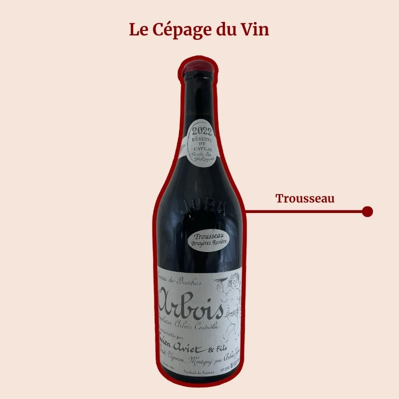 Domaine Lucien Aviet · 2022