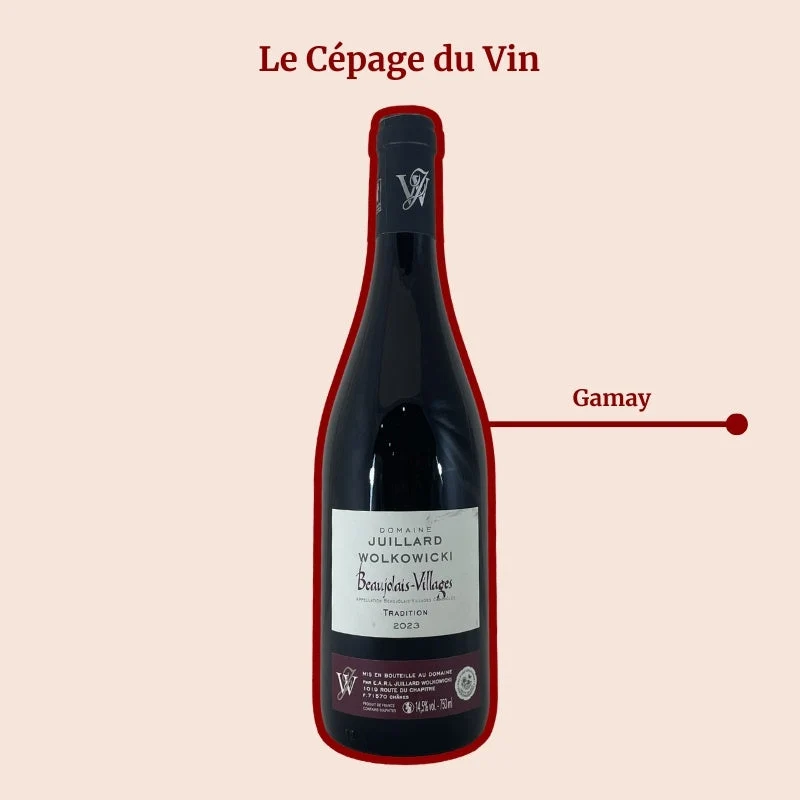 Domaine Juillard-Wolkowicki · Tradition · 2023