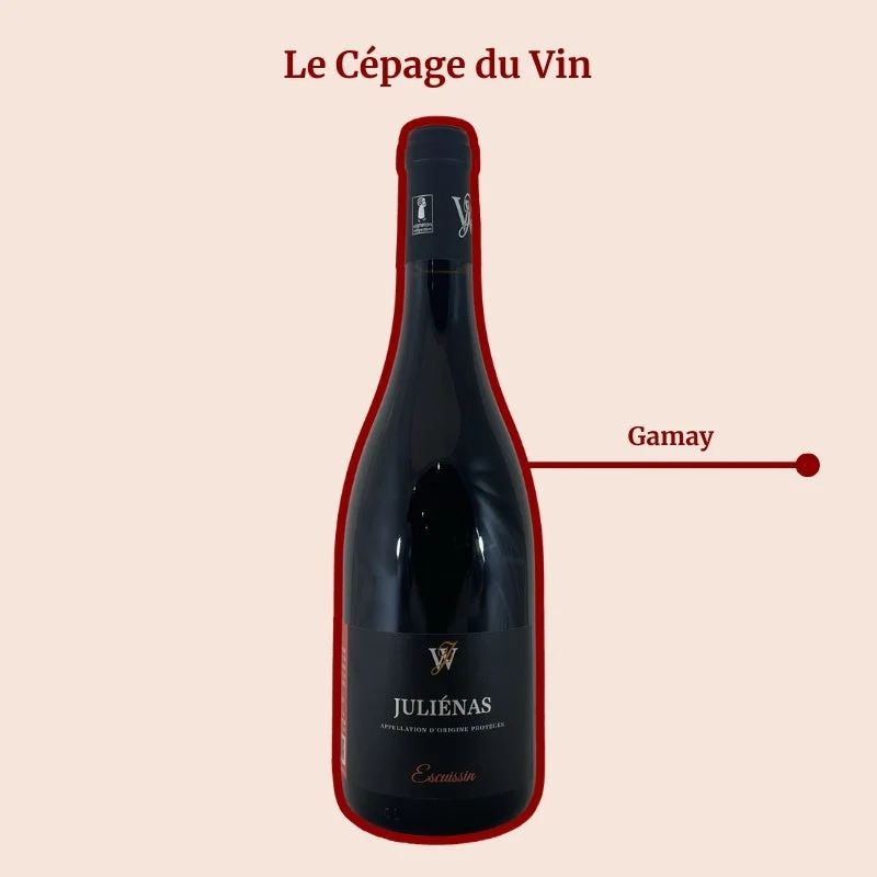 Domaine Juillard-Wolkowicki · Escuissin · 2023