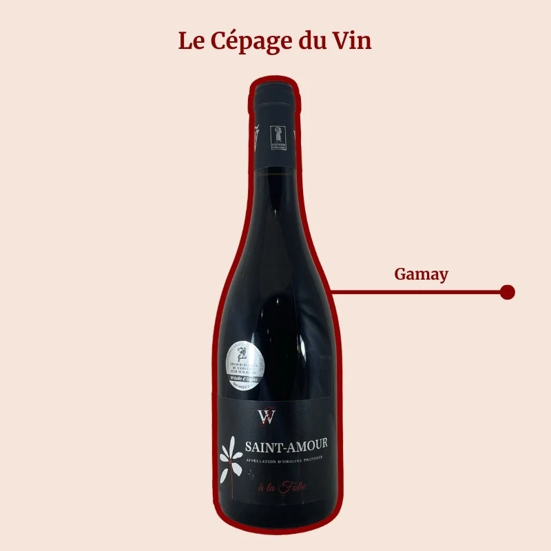 Domaine Juillard-Wolkowicki · À la Folie · 2023