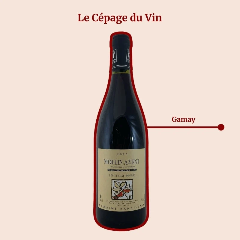 Domaine Hamet-Spay · Les Terres Rouges · 2023