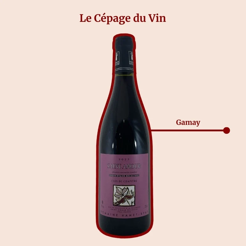 Domaine Hamet-Spay · Clos du Chapitre · 2023