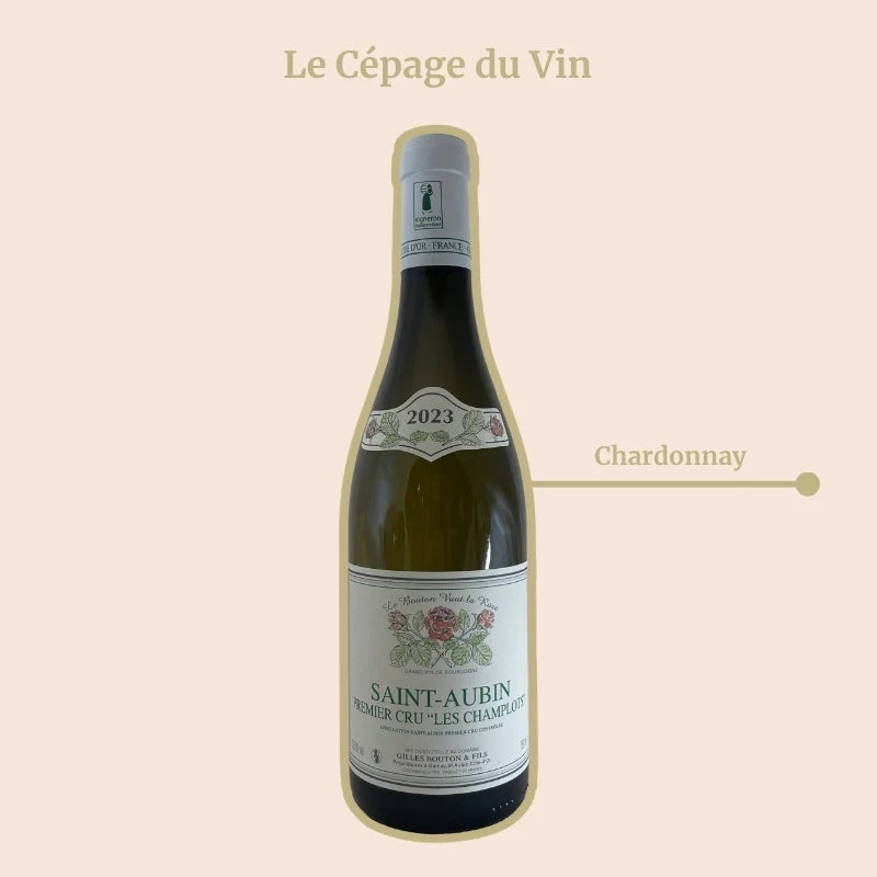 Domaine Gilles Bouton · Les Champlots · 2024