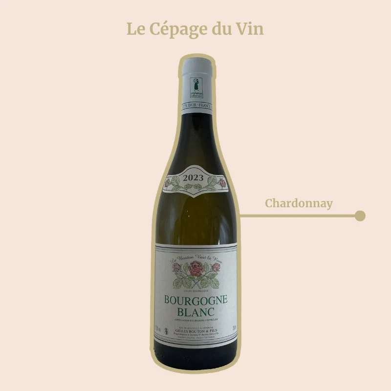 Domaine Gilles Bouton · 2024
